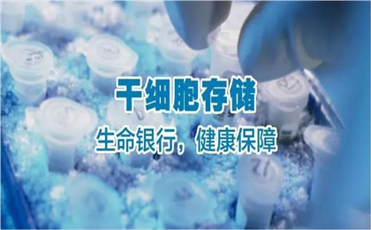 华通氏胶.jpg