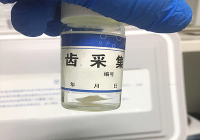 口腔干细胞