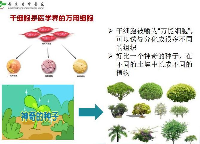 广东省中医院开展银屑病干细胞治疗的研究