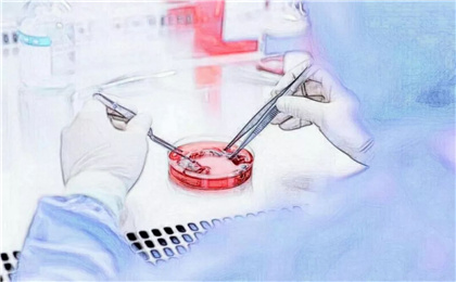目前根治白血病最有效的方法——造血干细胞移植治疗！